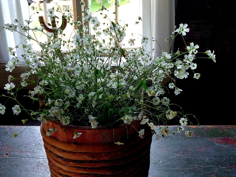 Tervetuloa jäseneksi!