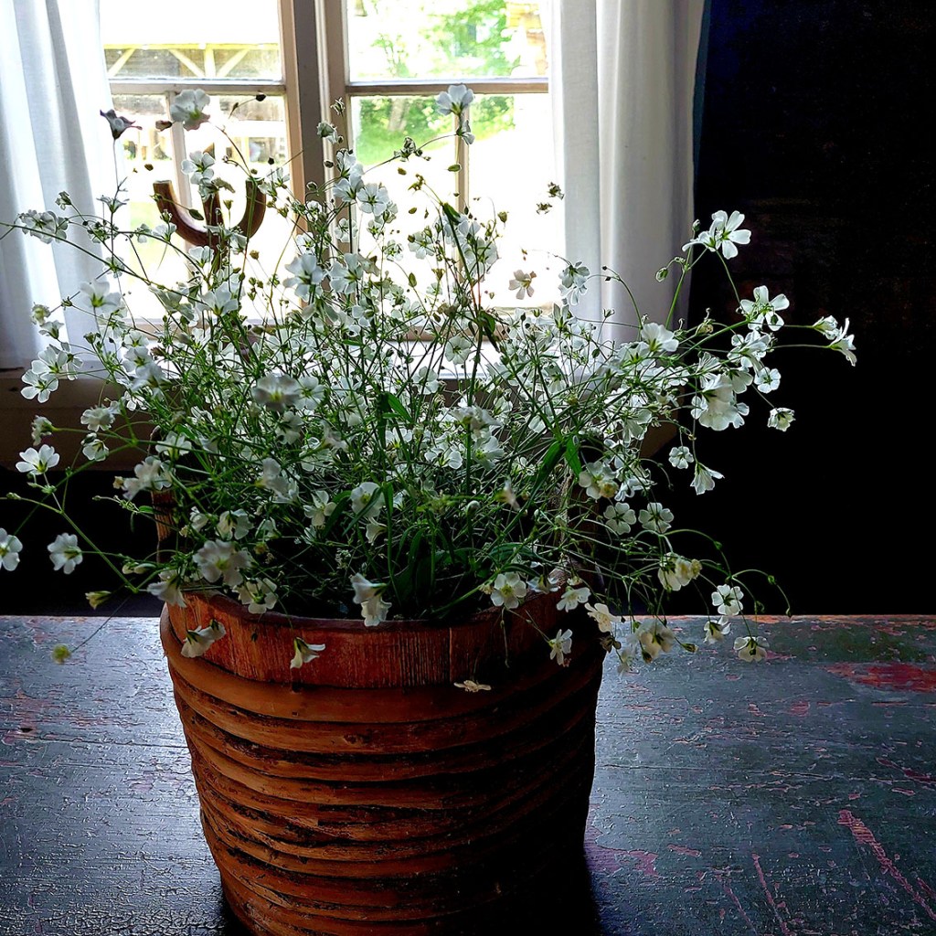 Tervetuloa jäseneksi!